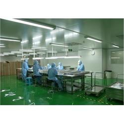 道滘偉一食品廠千級(jí)無塵車間凈化室 守護(hù)食品安全的潔凈堡壘