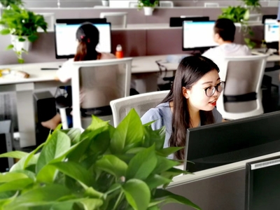 數(shù)字化轉(zhuǎn)型的橋梁 上市外企如何通過天貓京東唯品會(huì)在線客服優(yōu)化信息技術(shù)咨詢服務(wù)